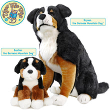 Load image into Gallery viewer, Bastien The Bernese Mountain Dog | 13 Inch Stuffed Animal Plush | By TigerHart Toys