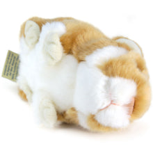 Load image into Gallery viewer, Chippy The Hamster | 6 Inch Stuffed Animal Plush | By TigerHart Toys