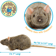 Load image into Gallery viewer, The Scurry Squad - Reuben & Wylie’s Bundle