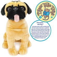 Load image into Gallery viewer, Princeton The Pug | 13 Inch Stuffed Animal Plush | By TigerHart Toys