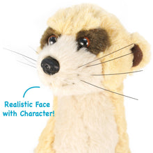 Load image into Gallery viewer, Mimi The Meerkat | 11 Inch Stuffed Animal Plush | By TigerHart Toys