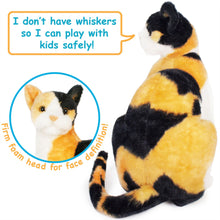 Load image into Gallery viewer, Catalina The Calico Cat | 14 Inch Stuffed Animal Plush | By TigerHart Toys