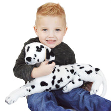 Load image into Gallery viewer, Deb The Dalmatian | 20 Inch Stuffed Animal Plush | By TigerHart Toys