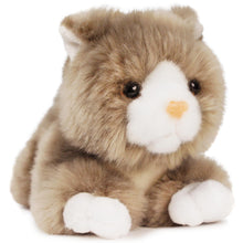 Load image into Gallery viewer, Gallagher the Grey Cat | 8 Inch Stuffed Animal Plush | By TigerHart Toys
