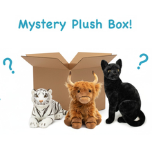 Load image into Gallery viewer, Mystery Plush Box