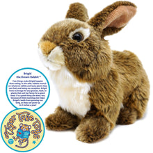 Load image into Gallery viewer, Brigid The Brown Rabbit | 10 Inch Stuffed Animal Plush | By TigerHart Toys