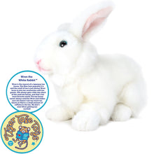 Load image into Gallery viewer, Wren The White Rabbit | 10 Inch Stuffed Animal Plush | By TigerHart Toys