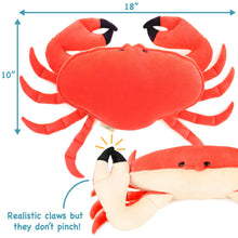 Load image into Gallery viewer, Cora The Crab - 19 Inch Stuffed Animal Plush - by TigerHart Toys
