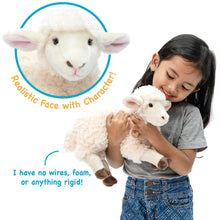 Load image into Gallery viewer, Shooky The Sheep - 13 Inch Stuffed Animal Plush
