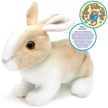 Load image into Gallery viewer, Ridley The Rabbit | 11 Inch Stuffed Animal Plush | By TigerHart Toys
