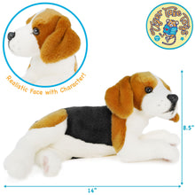 Load image into Gallery viewer, Burkham The Beagle | 14 Inch Stuffed Animal Plush | By TigerHart Toys
