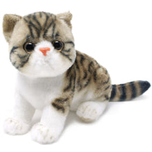 Load image into Gallery viewer, Esther The Exotic Shorthair Tabby Cat | 14 Inch Stuffed Animal Plush | By TigerHart Toys
