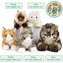 Load image into Gallery viewer, Snowy The Ragdoll Cat | 12 Inch Stuffed Animal Plush | By TigerHart Toys
