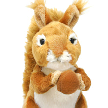 Load image into Gallery viewer, Carter The Squirrel | 8 Inch Stuffed Animal Plush | By TigerHart Toys
