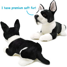 Load image into Gallery viewer, Baxter The Boston Terrier | 13 Inch Stuffed Animal Plush | By TigerHart Toys
