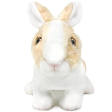 Load image into Gallery viewer, Ridley The Rabbit | 11 Inch Stuffed Animal Plush | By TigerHart Toys
