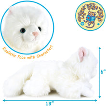 Load image into Gallery viewer, Puff The Persian Cat | 13 Inch Stuffed Animal Plush | By TigerHart Toys
