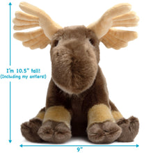 Load image into Gallery viewer, Martin The Moose | 11 Inch Stuffed Animal Plush | By TigerHart Toys
