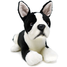 Load image into Gallery viewer, Baxter The Boston Terrier | 13 Inch Stuffed Animal Plush | By TigerHart Toys
