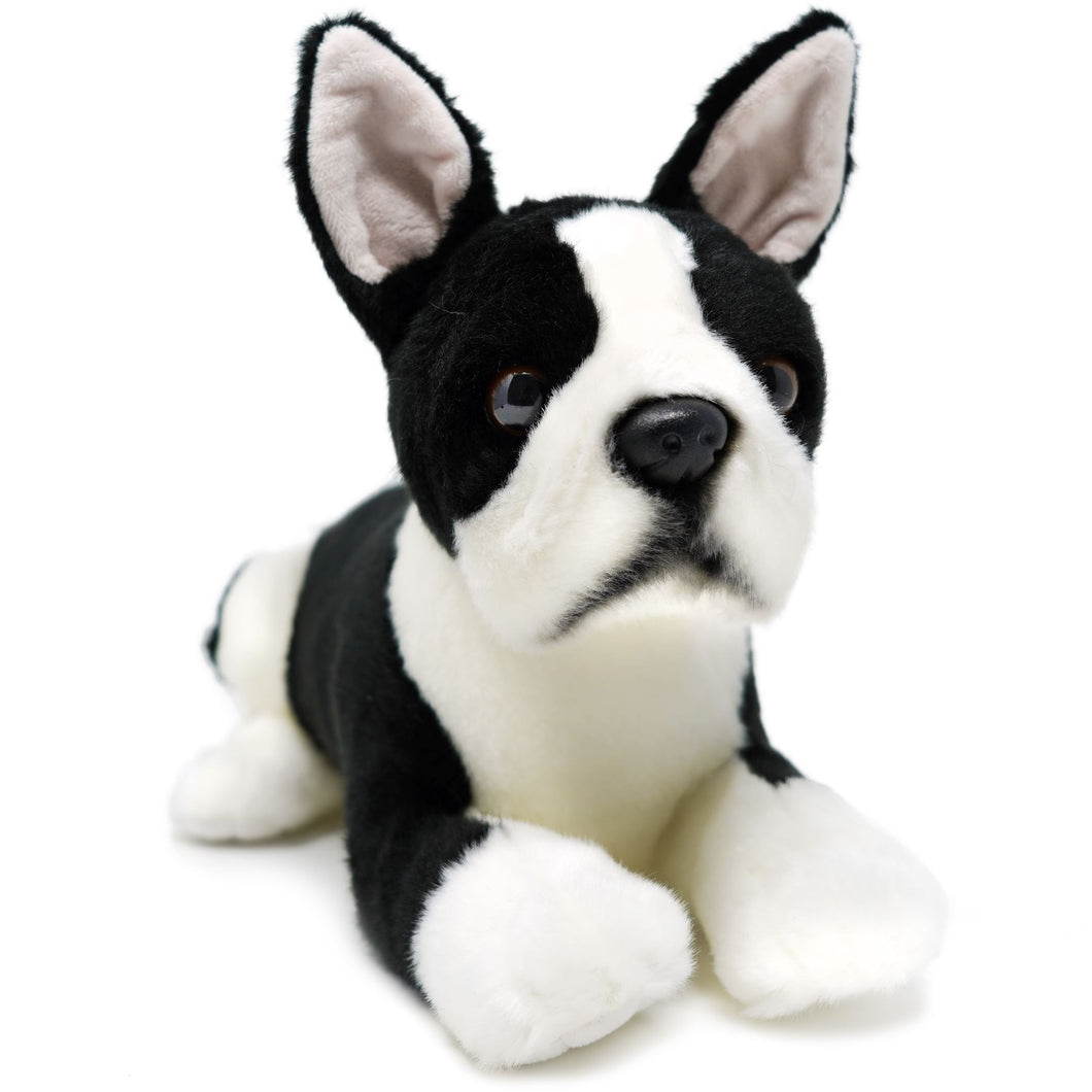 Baxter The Boston Terrier | 13 Inch Stuffed Animal Plush | By TigerHart Toys