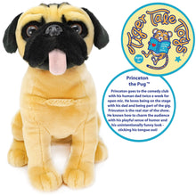 Load image into Gallery viewer, Princeton The Pug | 13 Inch Stuffed Animal Plush | By TigerHart Toys
