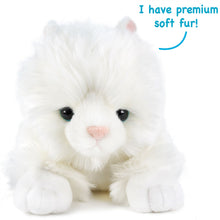 Load image into Gallery viewer, Puff The Persian Cat | 13 Inch Stuffed Animal Plush | By TigerHart Toys
