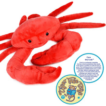 Load image into Gallery viewer, Cora The Crab | 18 Inch Stuffed Animal Plush | By TigerHart Toys
