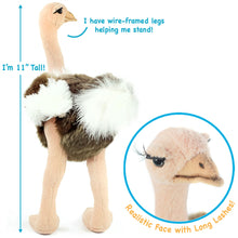 Load image into Gallery viewer, Ola The Ostrich | 12 Inch Stuffed Animal Plush | By TigerHart Toys
