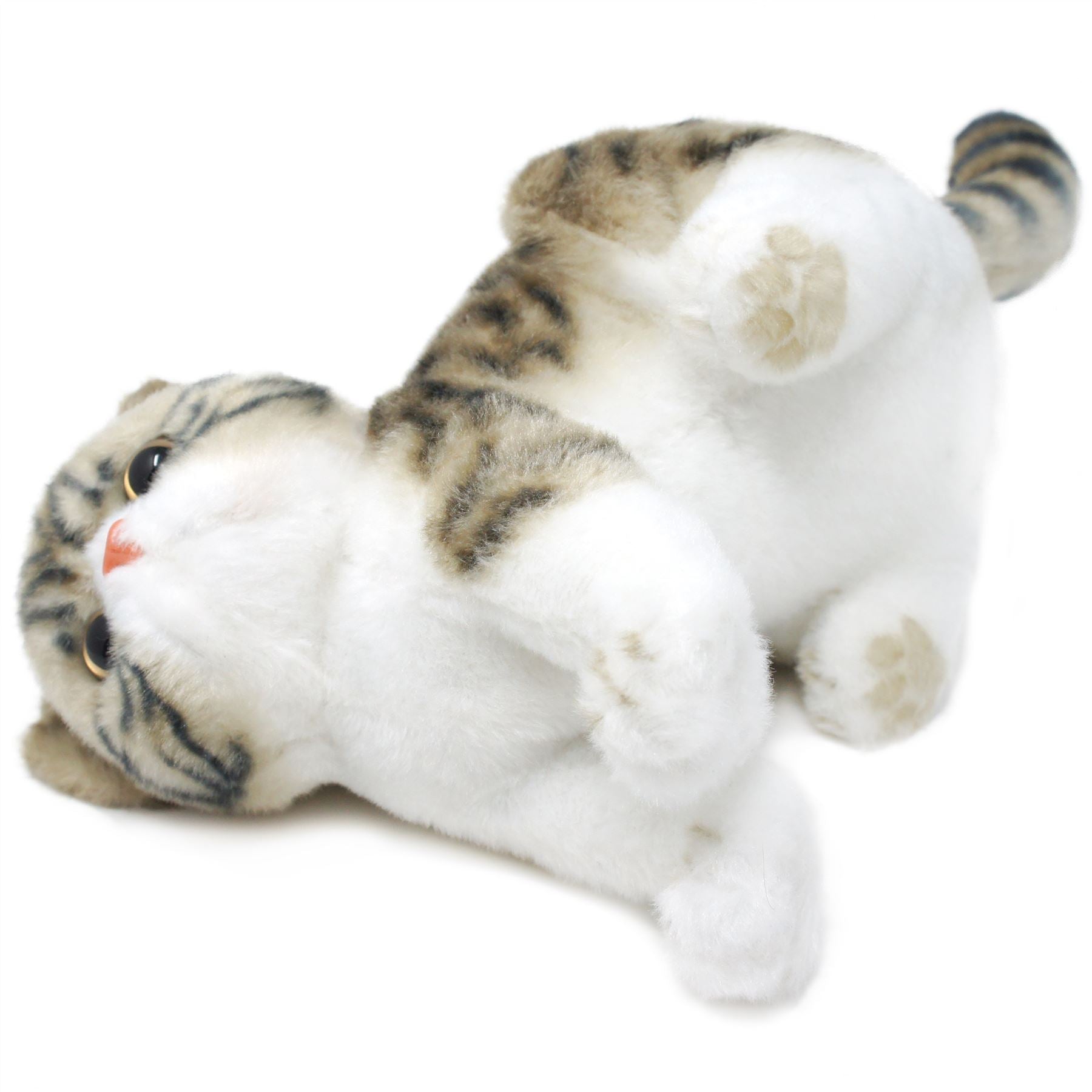 【超希少】2ちゃんねる ぬいぐるみ ギコ猫　エビフライネコ　約30センチ Esther The Exotic Shorthair Tabby Cat | 14 Inch Stuffed Animal