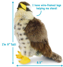 Load image into Gallery viewer, Percival The Peregrine Falcon | 9 Inch Stuffed Animal Plush | By TigerHart Toys

