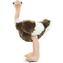 Load image into Gallery viewer, Ola The Ostrich | 12 Inch Stuffed Animal Plush | By TigerHart Toys
