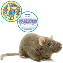 Load image into Gallery viewer, Reuben The Rat | 7 Inch Stuffed Animal Plush | By TigerHart Toys
