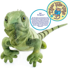 Load image into Gallery viewer, Igor The Iguana | 27 Inch Stuffed Animal Plush | By TigerHart Toys
