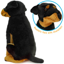 Load image into Gallery viewer, Ronin The Rottweiler | 14 Inch Stuffed Animal Plush | By TigerHart Toys
