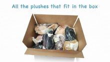 Load image into Gallery viewer, Mystery Plush Box
