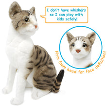 Load image into Gallery viewer, Amy The American Shorthair Cat | 14 Inch Stuffed Animal Plush | By TigerHart Toys
