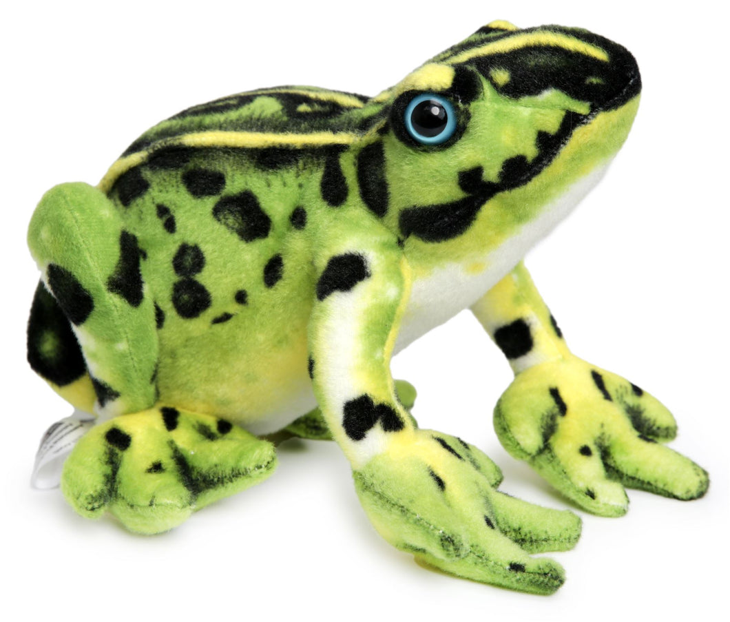 Frisco The Frog | 10 Inch Stuffed Animal Plush | By TigerHart Toys