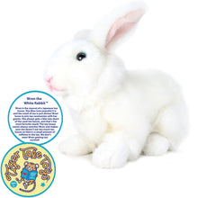 Load image into Gallery viewer, Wren The White Rabbit | 10 Inch Stuffed Animal Plush | By TigerHart Toys
