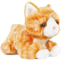 Load image into Gallery viewer, Orville The Orange Tabby Cat | 8 Inch Stuffed Animal Plush | By TigerHart Toys
