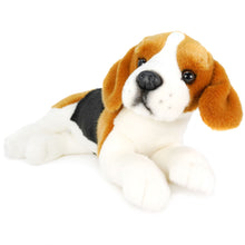 Load image into Gallery viewer, Burkham The Beagle | 14 Inch Stuffed Animal Plush | By TigerHart Toys
