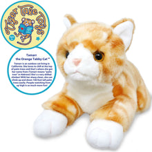 Load image into Gallery viewer, Tamarr The Orange Tabby Cat | 10 Inch Stuffed Animal Plush | By TigerHart Toys
