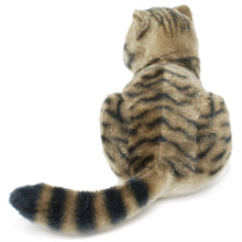 Load image into Gallery viewer, Esther The Exotic Shorthair Tabby Cat | 14 Inch Stuffed Animal Plush | By TigerHart Toys
