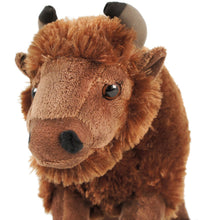 Load image into Gallery viewer, Billy The Bison | 10 Inch Stuffed Animal Plush | By TigerHart Toys

