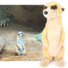 Load image into Gallery viewer, Mimi The Meerkat | 11 Inch Stuffed Animal Plush | By TigerHart Toys
