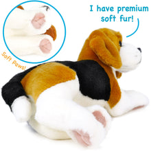 Load image into Gallery viewer, Burkham The Beagle | 14 Inch Stuffed Animal Plush | By TigerHart Toys
