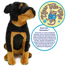 Load image into Gallery viewer, Ronin The Rottweiler | 14 Inch Stuffed Animal Plush | By TigerHart Toys
